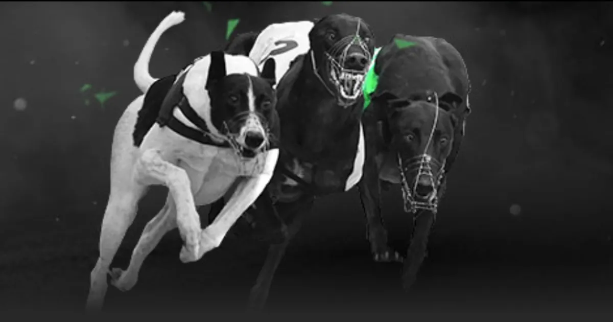 鲁梅尼格谈,拜仁,本应多得五,星空,XingKong,星空注册网址,星空app,星空官网,星空网站,星空下载